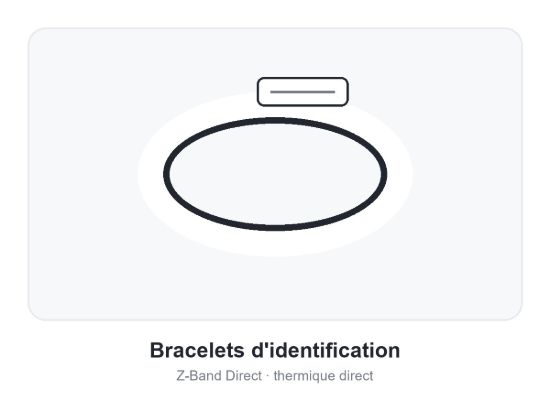Image de Zebra Z-Band Direct – Bracelets adulte thermique direct 25 x 279 mm (carton de 6 rouleaux)