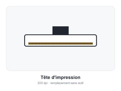 Image de Zebra Kit, tête d'impression 203 dpi, ZT231R, sérialisé, RFID