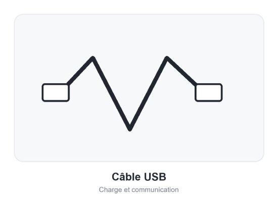 Image de Zebra Câble - USB blindé : Série A, 0,6 m (2 pieds), Droit, Noir (SP20)